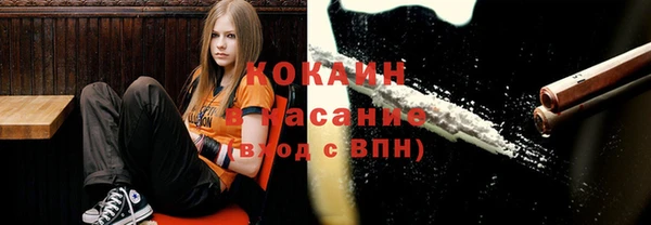 apvp Вязьма