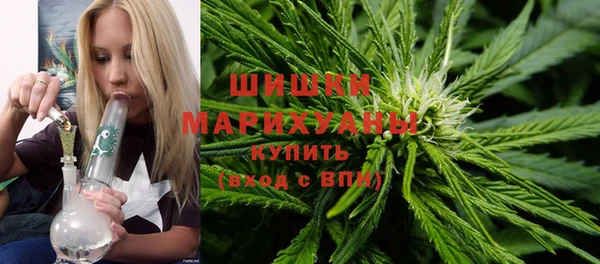 apvp Вязьма