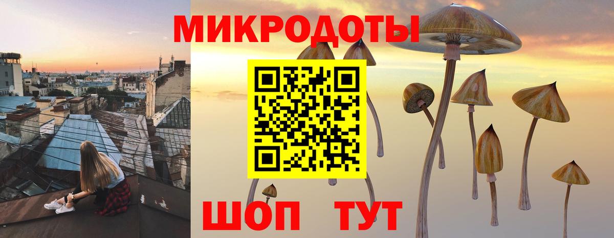 Галлюциногенные грибы прущие грибы  Благодарный 